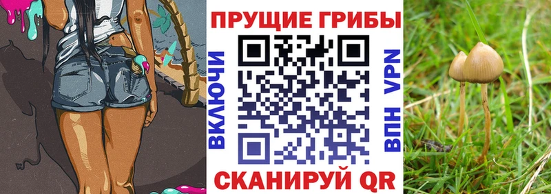 сколько стоит  Пенза  Галлюциногенные грибы мицелий 